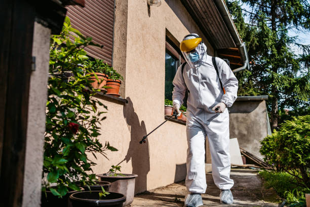 Best Best Pest Control Companies  in Valenti, NE