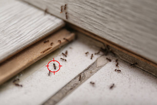 Valentine, NE Pest Control Company