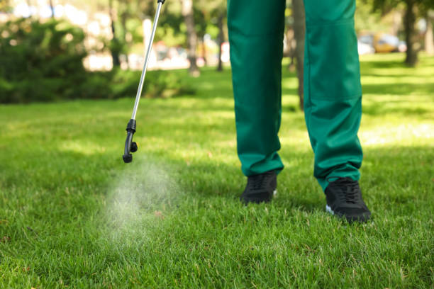 Best Wasp Removal Services  in Valenti, NE