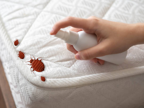 Best Bed Bug Extermination  in Valenti, NE
