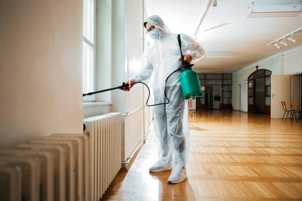 Best Affordable Pest Control Services  in Valenti, NE