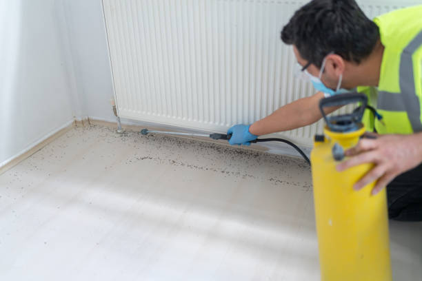 Best Affordable Exterminators  in Valenti, NE