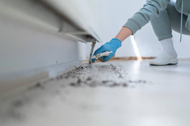 Pest Prevention Services in Valentine, NE