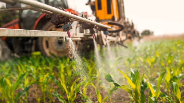 Best Pest Prevention Services  in Valenti, NE
